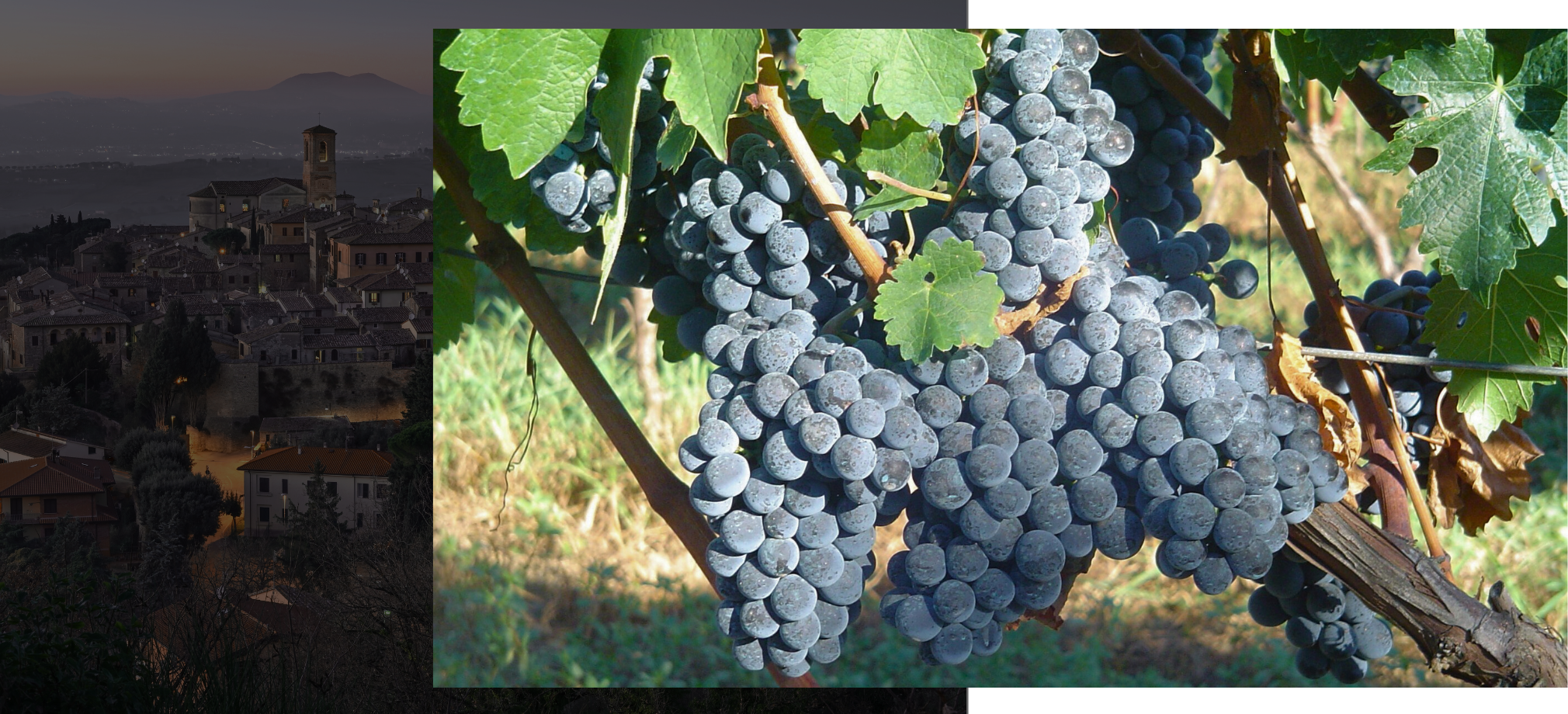 Cabernet Souvignon - I Vitigni