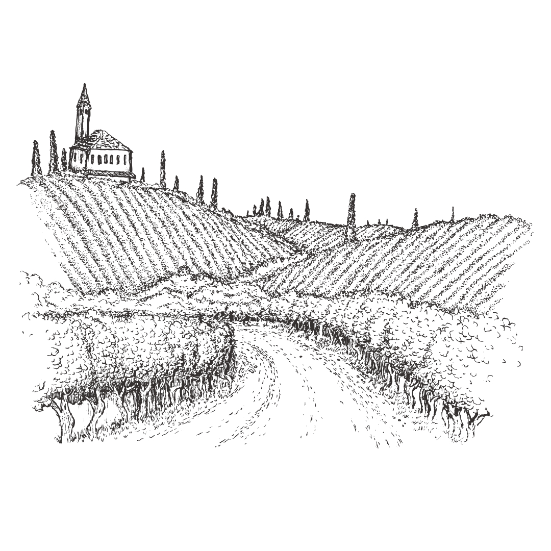 Timeline - Vatunna (2)
