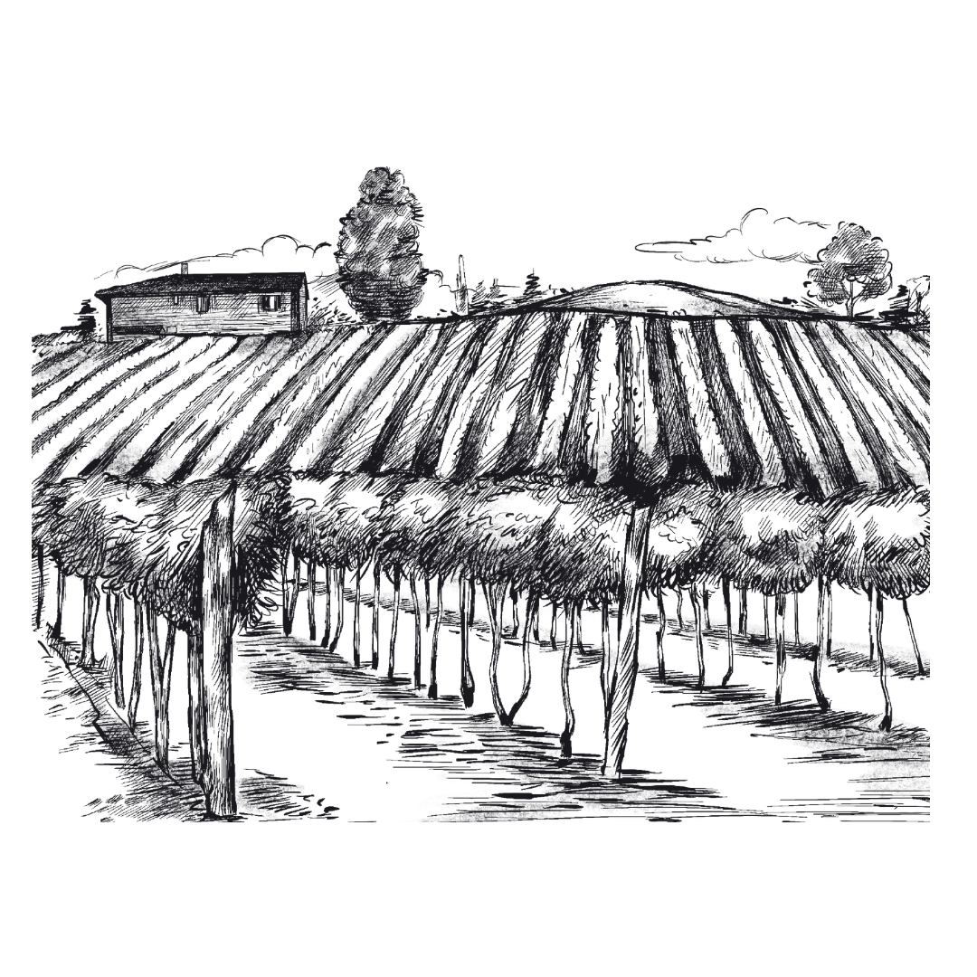 Timeline - Vatunna (3)