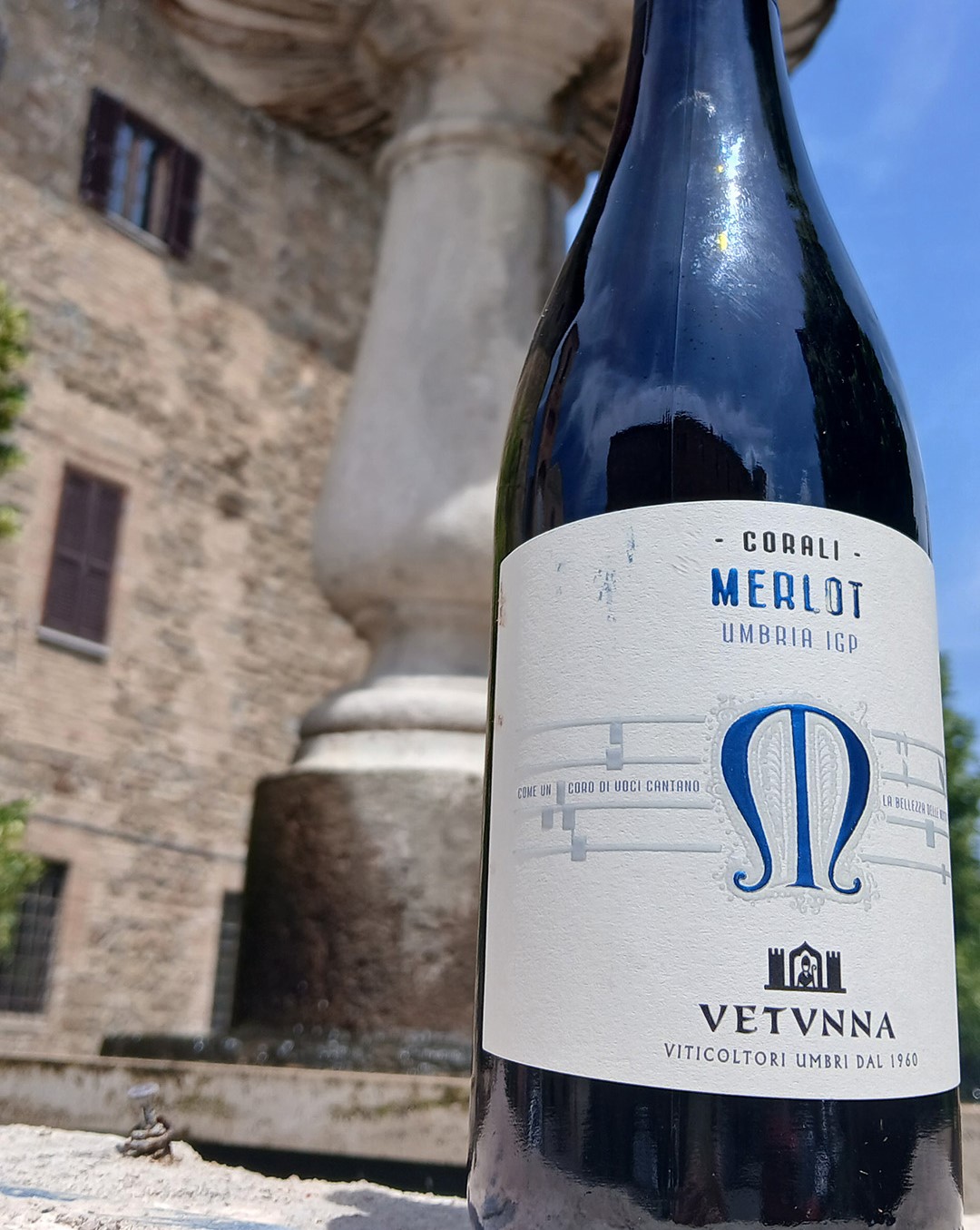 Vino Rosso Merlot 1080x1350 Vino Rosso Merlot 1080x1350