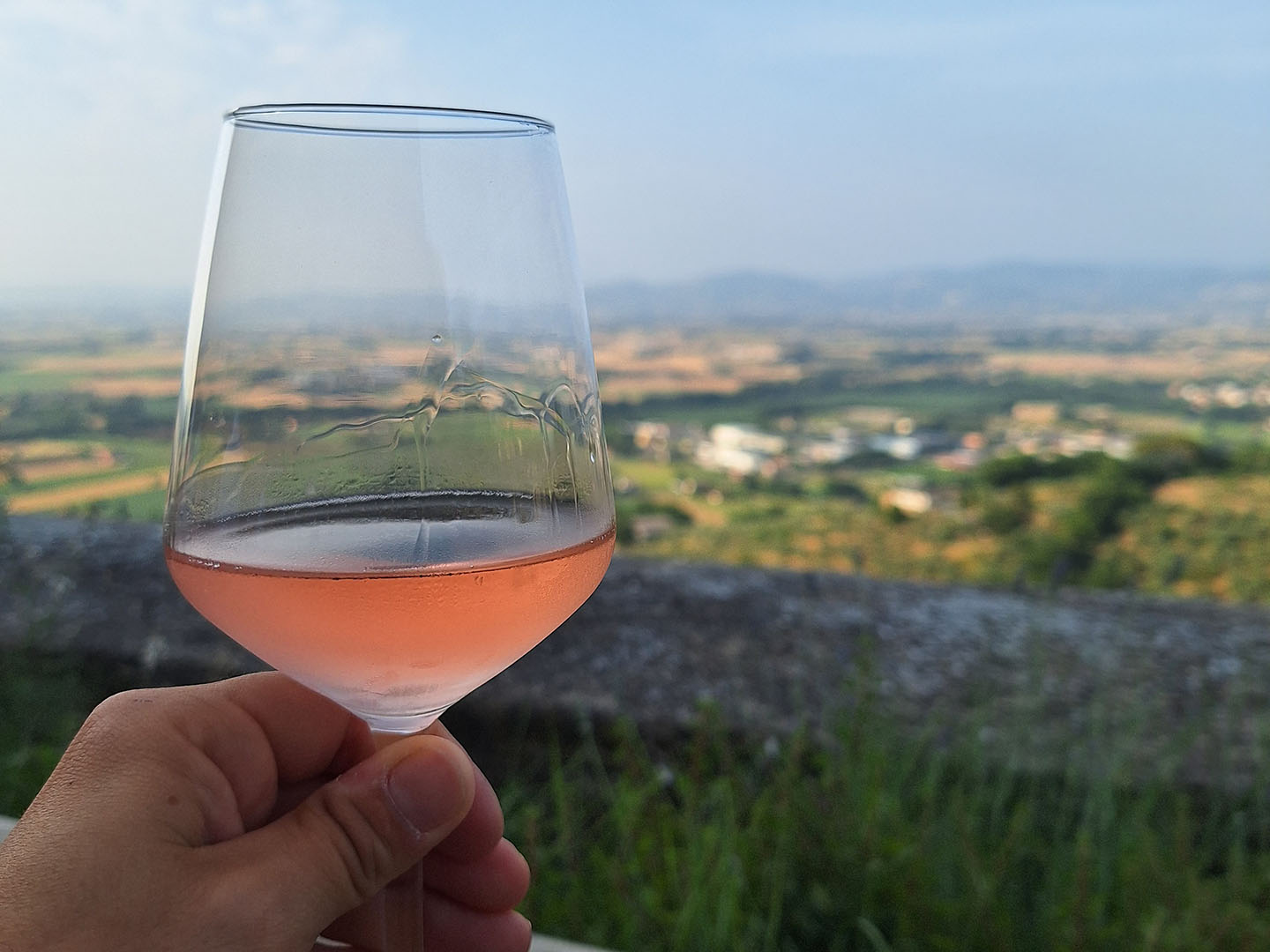 Vino Vetunna Servito